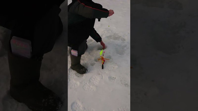 На жёлтый сыр