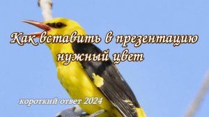 Как в презентацию Power Point вставить нужный цвет