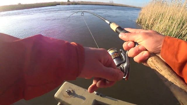 Рыбалка в дельте перед запретом. Закрытие весеннего сезона АСТРАХАНЬ, МАЙ! Вечерка, 9 жерехов. смотреть онлайн