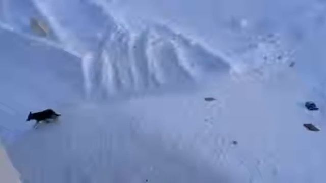 Архипелаг Новая Земля посёлок Белушья губа