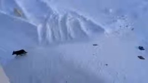 Архипелаг Новая Земля посёлок Белушья губа