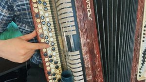 Учимся играть на баяне ИВУШКИ ВЫ ИВУШКИ (Разбор)