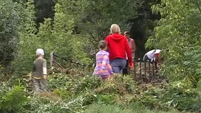 Сюжет детская площадка с. Золотое поле смотреть онлайн