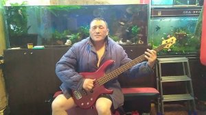 Дима Борода