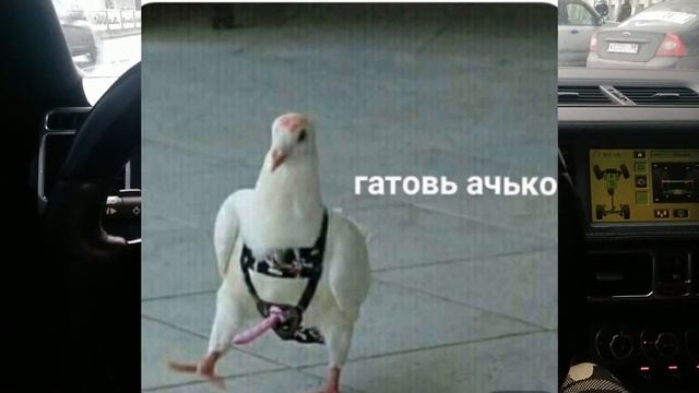 Range Rover Supercharged 2008 года 4.2 краткий обзор смотреть онлайн