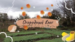 Зима на носу, а я всё ещё в огороде // Нюркина жизнь // Огородный влог