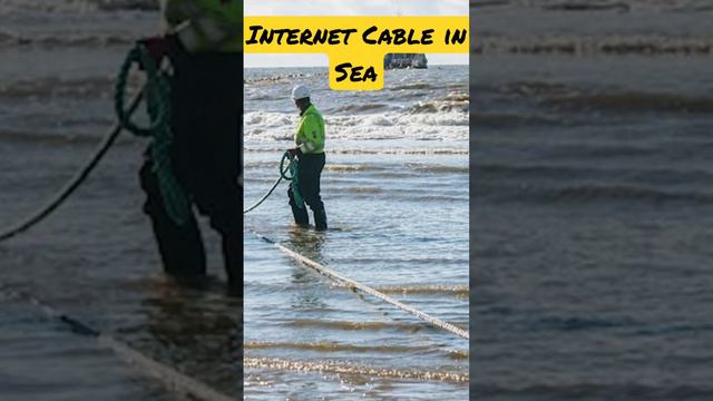 कैसे INTERNET CABLE को समुद्र में बिछाया जाता है