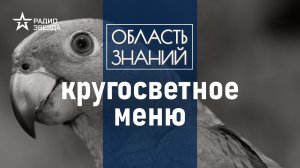 Паштет из попугаев и дельфины: что ели русские моряки во время великих открытий?