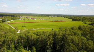 Lisi4ki 4k Лисички дачи истринская долина вектор 4k