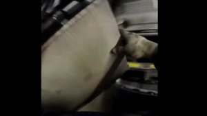 замена основного радиатора Nissan Cefiro A32