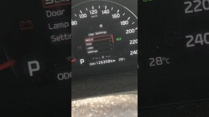 Kia Sorento Service reset.