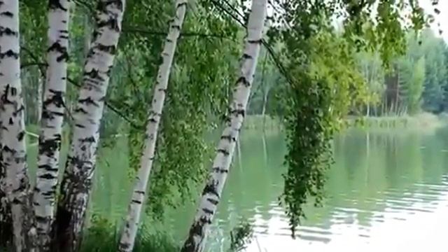 Юбилей супруги!!! смотреть онлайн