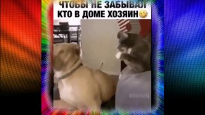 Чтобы не забывал ,кто в доме хозяин.