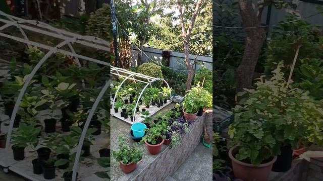 Добрейшего утра☀ ??❗