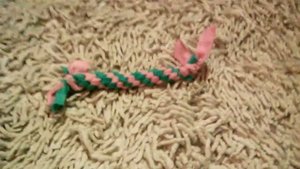 Подстилка для собаки , игрушка для собаки из подручных материалов,своими руками .