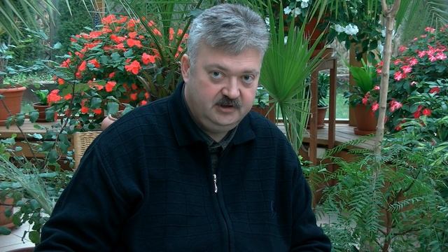 Необычная окраска томатов. Новые целебные сорта. смотреть онлайн