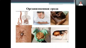 Биология 5 класс 9-11 недели. Почвенная и организменная среды обитания