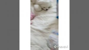 Подгузники Goon до и после использования?.