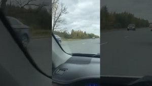 Лобовое стекло Toyota Camry 55, от Nordglass
