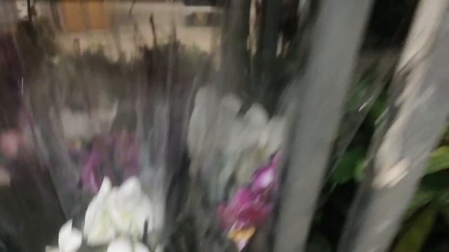 Влог 19. Орхидеи в Леруа Мерлен после 8 Марта) скидка 30% и 50%, ну это как то не серьёзно( смотреть онлайн