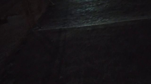 Мрачный Брянск-Лёд и тьма по дороге к дворцу