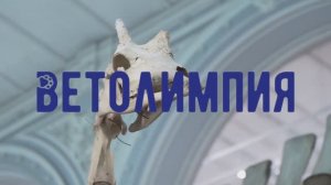 Всероссийская олимпиада по биологии среди школьников «ВЕТОЛИМПИЯ» 2024.