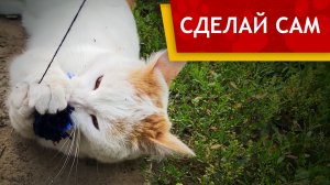 Как сделать шерстяную игрушку для Кошки (Кошачьи DIY самоделки)