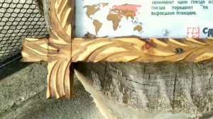 ПОЕЗДКА В НОВОСИБИРСКИЙ ЗООПАРК ИМЕНИ ШИЛО