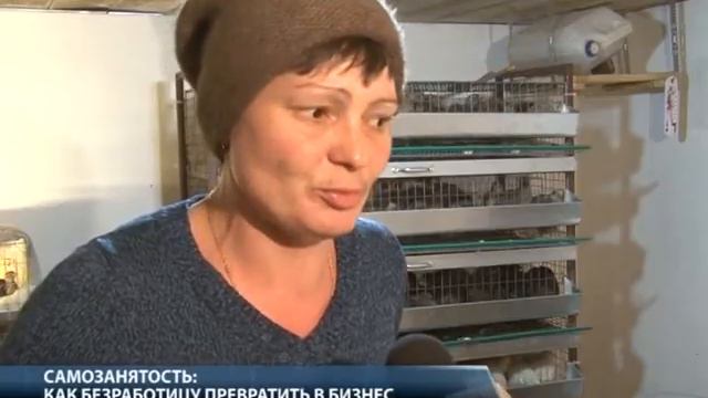 Самозанятость: как безработицу превратить в бизнес смотреть онлайн