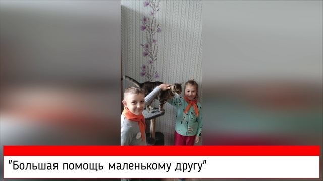 Волонтеры (подготовительная группа)