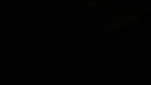 S..T.A.L.K.E.R Закрытые двери на Выжигателе Мозгов смотреть онлайн