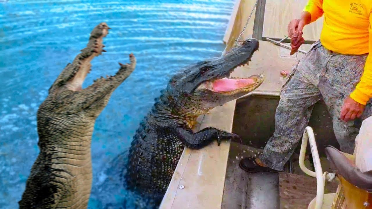 Случаи, Когда Опасные Животные Хотят Дружить смотреть онлайн