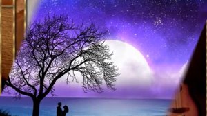 ВЯЧЕСЛАВ ОЛЬХОВСКИЙ-- НОЧЬ СВЕТЛА