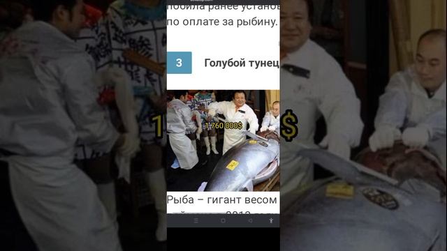 самая дорогая рыба в мире смотреть онлайн