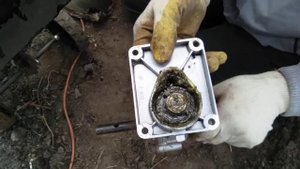 Эл культеватор Земляк заливаем масло.
