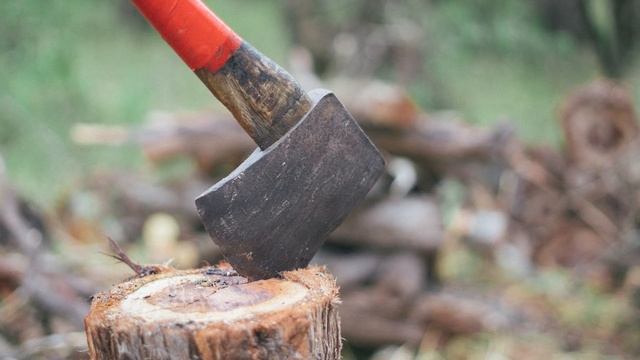 “Никому не позволим”: То, что сделали папа и его 2 сына с 80 машинами дров, поразило всех. смотреть онлайн