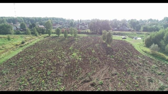 Поля Подмосковья. 2019 г.
