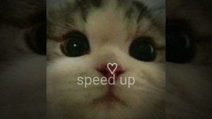 Эти роли не для нас (speed up) !! делала сама!!