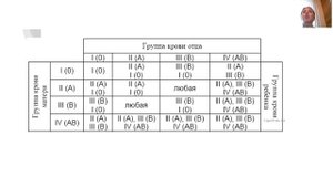 Почему у родителей и детей разные группы крови?