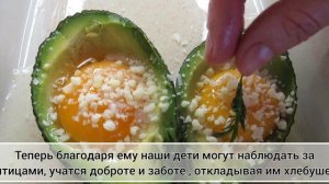 О семейной жизни