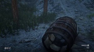 Женщина в бочке | Интересная пасхалка в RDR 2