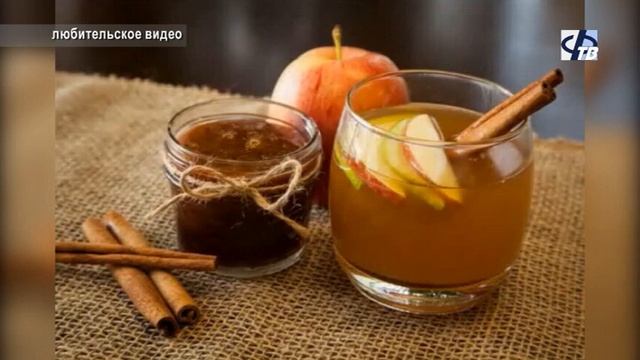 Мастер классы от сотрудников Картинной галерее смотреть онлайн