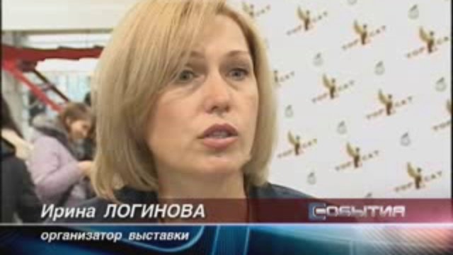 кошки
