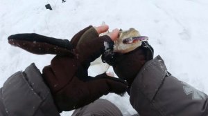 ИСКАЛИ СУДАКА И ВОТ ЧТО ПОЛУЧИЛОСЬ! Ловля судака на вибы! Зимняя рыбалка 2022 с SIBIRYAK'ом'007!