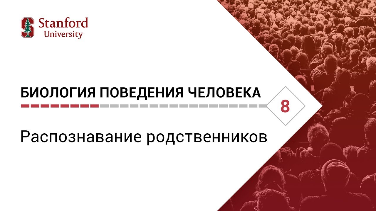 Биология поведения человека_ Лекция #8. Распознавание родственников [Роберт Сапольски,2010.Стенфорд]