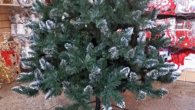 Ель "Кавказская Люкс" 2,3 м зелёная белые кончики смотреть онлайн