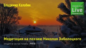 Медитация на поэзию Николая Заболоцкого. Приглашение от Владимира Калабина