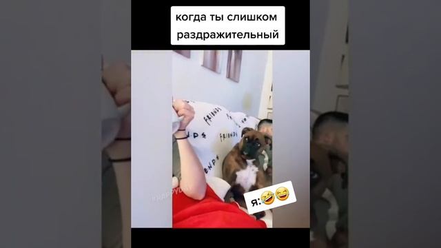 Раздражительный