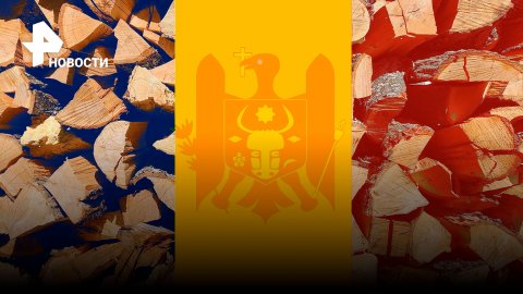 Молдавия скупает дрова и готовится топить по-черному / РЕН Новости