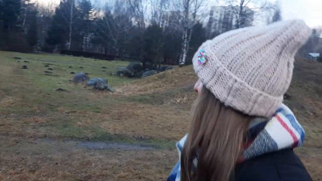 Минское Капище | Камень ДЗЕД, Дуб ВОЛАТ и их судьба | Что с капищем сейчас? | Парк камней в Уручье